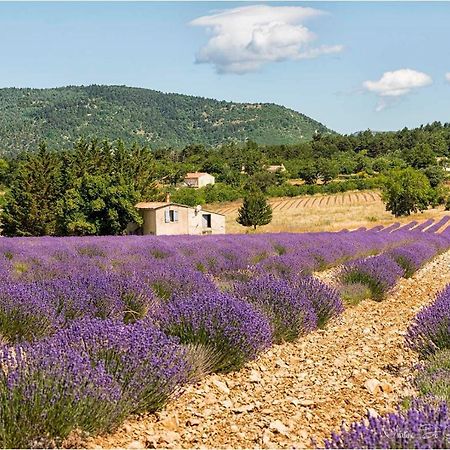 Hotel D'Albion Sault-de-Vaucluse Buitenkant foto