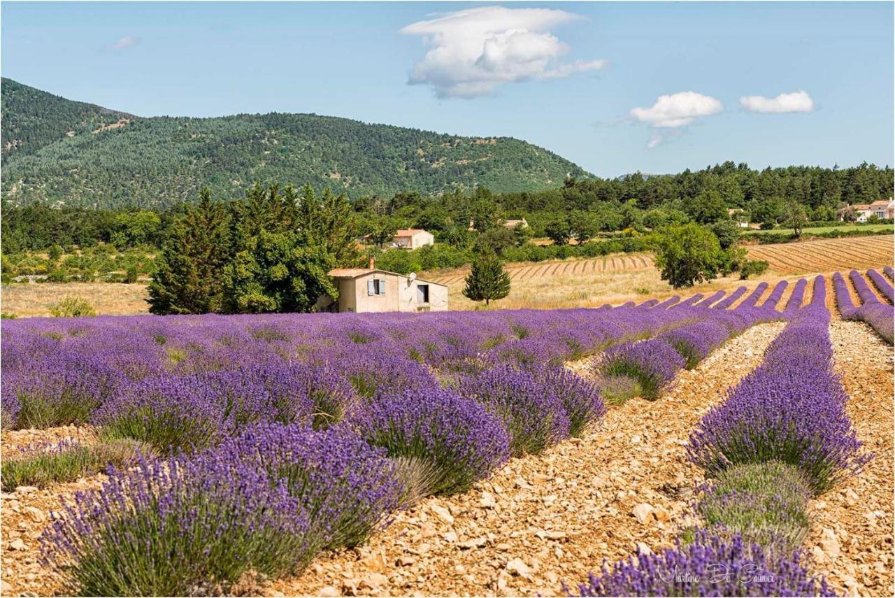 Hotel D'Albion Sault-de-Vaucluse Buitenkant foto