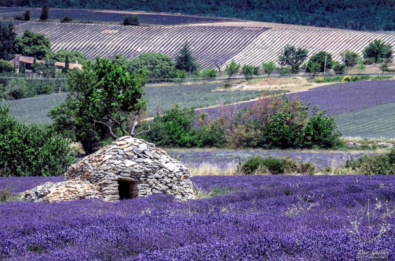 Hotel D'Albion Sault-de-Vaucluse Buitenkant foto